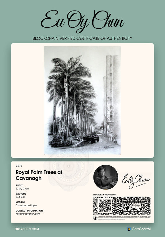 Royal Palm Trees at Cavanagh